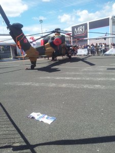 11112455_10153355404744019_2984773570509568075_n